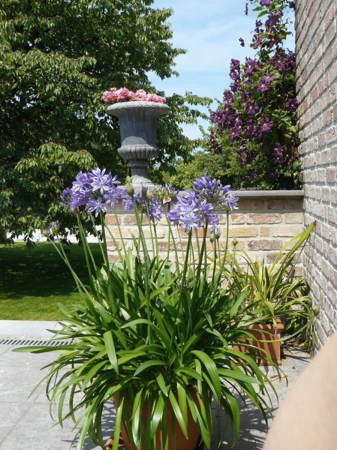 B&B CasabelleBoekhoute エクステリア 写真