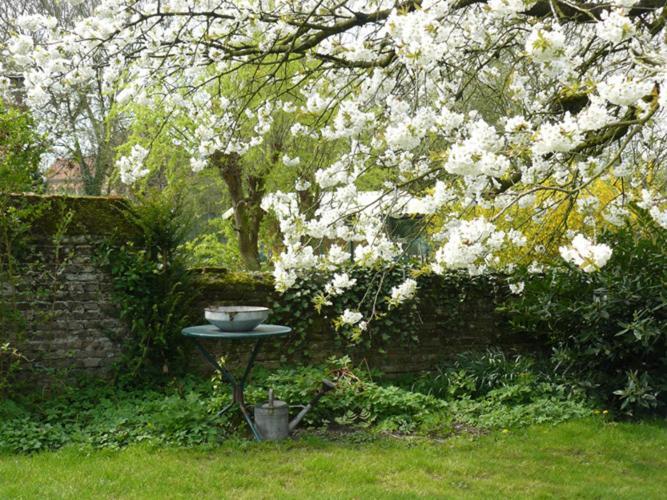 B&B CasabelleBoekhoute エクステリア 写真